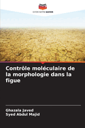 Contr?le mol?culaire de la morphologie dans la figue