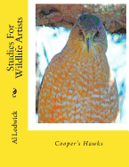 Cooper's Hawks: Studies For Wildlife Artists