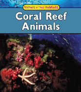 Coral Reef Animals
