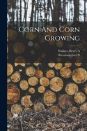 Corn And Corn Growing