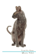 Cornish Rex Affirmations Workbook Cornish Rex Presents: Positive and Loving Affirmations Workbook. Includes: Mentoring Questions, Guidance, Supporting You.