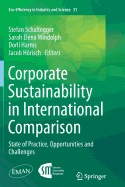 Corporate Sustainability in International Comparison: State of Practice, Opportunities and Challenges
