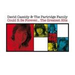 Could It Be Forever... The Greatest Hits - David Cassidy & the Partridge Family
