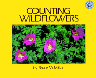 Counting Wildflowers