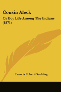 Cousin Aleck: Or Boy Life Among The Indians (1871)