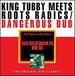 Dangerous Dub [Vinyl]