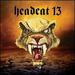 Headcat 13