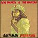 Rastaman Vibration [Half-Speed Master]