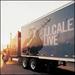 J.J. Cale Live