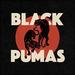 Black Pumas [Lp][Cr Me W/ Red + Black Splatter]