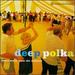 Deep Polka: Dance Music From the Midwest