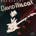 Best of: David Wilcox (Canadian)