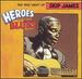 Heroes of the Blues-Very Best of Skip James