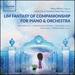 Lim Fantasy of Companionship