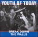 Break Down the Walls [Vinyl]