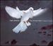 Karl Jenkins: the Armed Man-a Mass for Peace