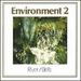 Environment 2