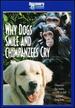 Why Dogs Smile and Chimpanzees Cry [Vhs]