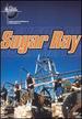 Music in High Places-Sugar Ray (Live From Australia)