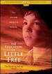 The Education of Little Tree [Dvd]