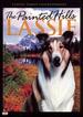 The Painted Hills: Lassie