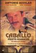 Caballo Prieto Azabache (the Midnight Stallion)