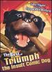 Late Night With Conan O'Brien-the Best of Triumph the Insult Comic Dog [Dvd]