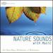 Nature Sounds With Music (Deep Sleep Music, Relaxation, Music for Healing, Music With Nature)