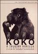 Koko: a Talking Gorilla (the Criterion Collection) [Dvd]