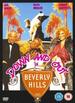 Down & Out in Beverly Hills [Vhs]