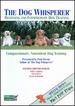 Beginning and Intermediate Dog Training