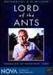Naturalist E.O. Wilson-Lord of the Ants-Nova