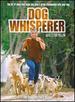 Dog Whisperer With Cesar Millan: Season 3