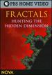 Nova: Fractals-Hunting the Hidden Dimension