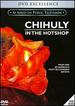 Chihuly in the Hotshop (Pbs) [Dvd]