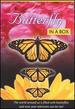 Butterfly in a Box [Dvd]