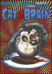 Cat in the Brain [2 Discs]