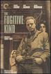 Fugitive Kind (the Criterion Collection)
