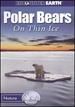 Polar Bears: on Thin Ice