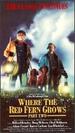 Where the Red Fern Grows II [Vhs]