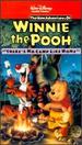 The New Adventures of Winnie the Pooh "There's No Camp Like Home" [Vhs]