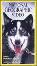 National Geographic's Those Wonderful Dogs [Vhs]