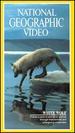 National Geographic's White Wolf [Vhs]