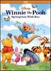 Winnie the Pooh Springtime With Roo