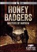 Nature: Honey Badgers: Masters of Mayhem