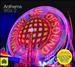 Ministry of Sound: Anthems 90s 2 / Various