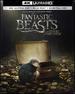 Fantastic Beasts and Where to Find Them (Best Buy Steelbook/(4k Ultra Hd + Blu-Ray + Digital Hd)