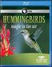 Nature: Hummingbirds [Blu-Ray]