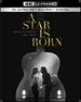A Star is Born 4k Limited Edition Steelbook (4k Ultra Hd+Blu-Ray+Digital)