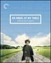 An Angel at My Table (the Criterion Collection) [Blu-Ray]